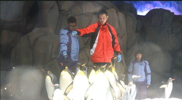 �����A����ۺ��󹫈@���O���