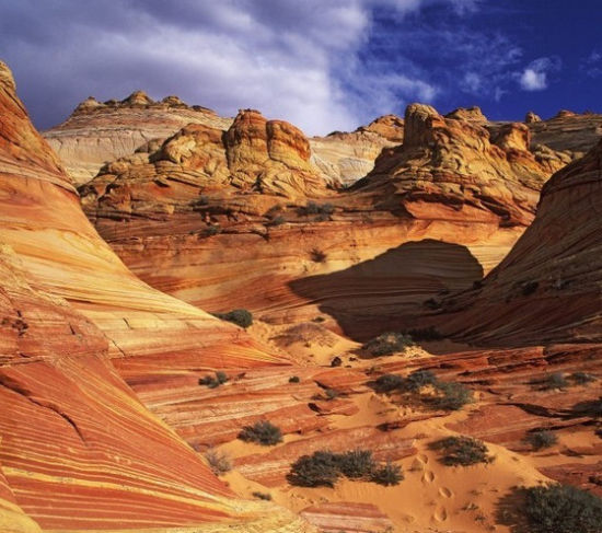 ���M�������˹�