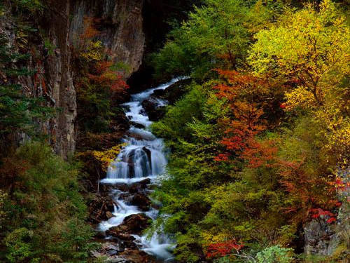 ���{��?zh��)��?rdquo;���������Ɍ�&ldquo;