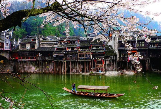 ʮһ�S���������P�˹ų�