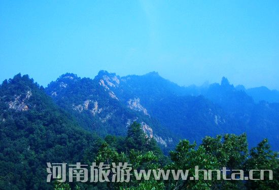 ���{�Ͻ�X�����p����