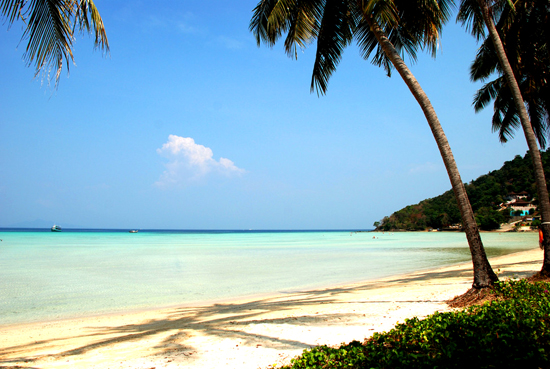 �S���ܴ�W(xu��)�����ι��� ��̩��(gu��)��ҹ��