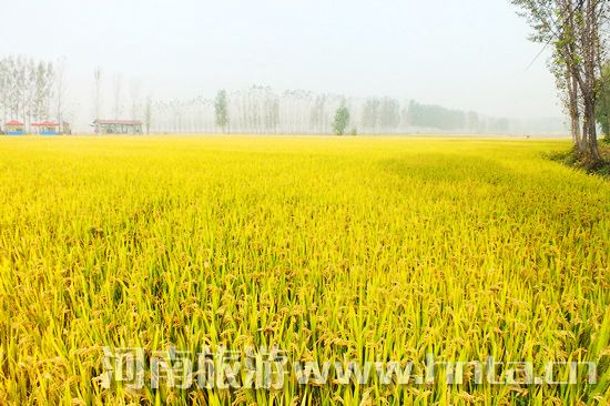 �����l(xi��ng)�خa(ch��n)��ԭ�(y��ng)����