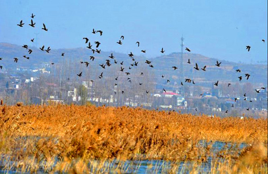 �����^�B(ni��o)����(d��ng)�r(sh��)����׽���� �Ĕz��(y��u)��