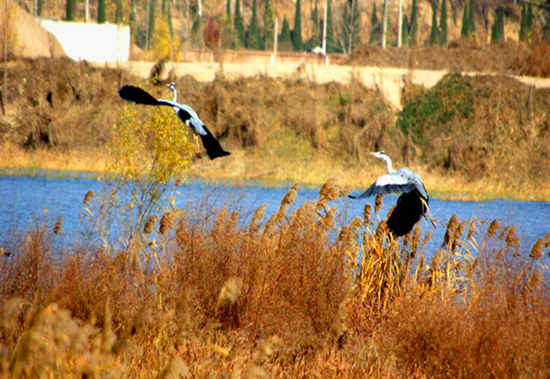 �����^�B(ni��o)����(d��ng)�r(sh��)����׽���� �Ĕz��(y��u)��