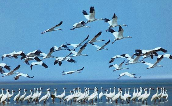 �����^�B����(d��ng)�r����׽���� �Ĕz��(y��u)��