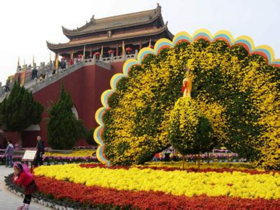 �p�չ��ԣ����ﻨ���  �p��������