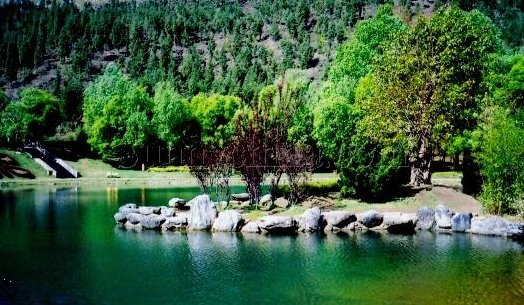 �Ї�(gu��)ʮ����H���΄ٵ�