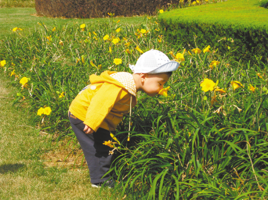 ���ܚ���E�� ���������ע��