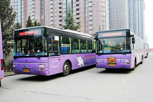 金秋賞菊開封城 2013開封菊展攻略