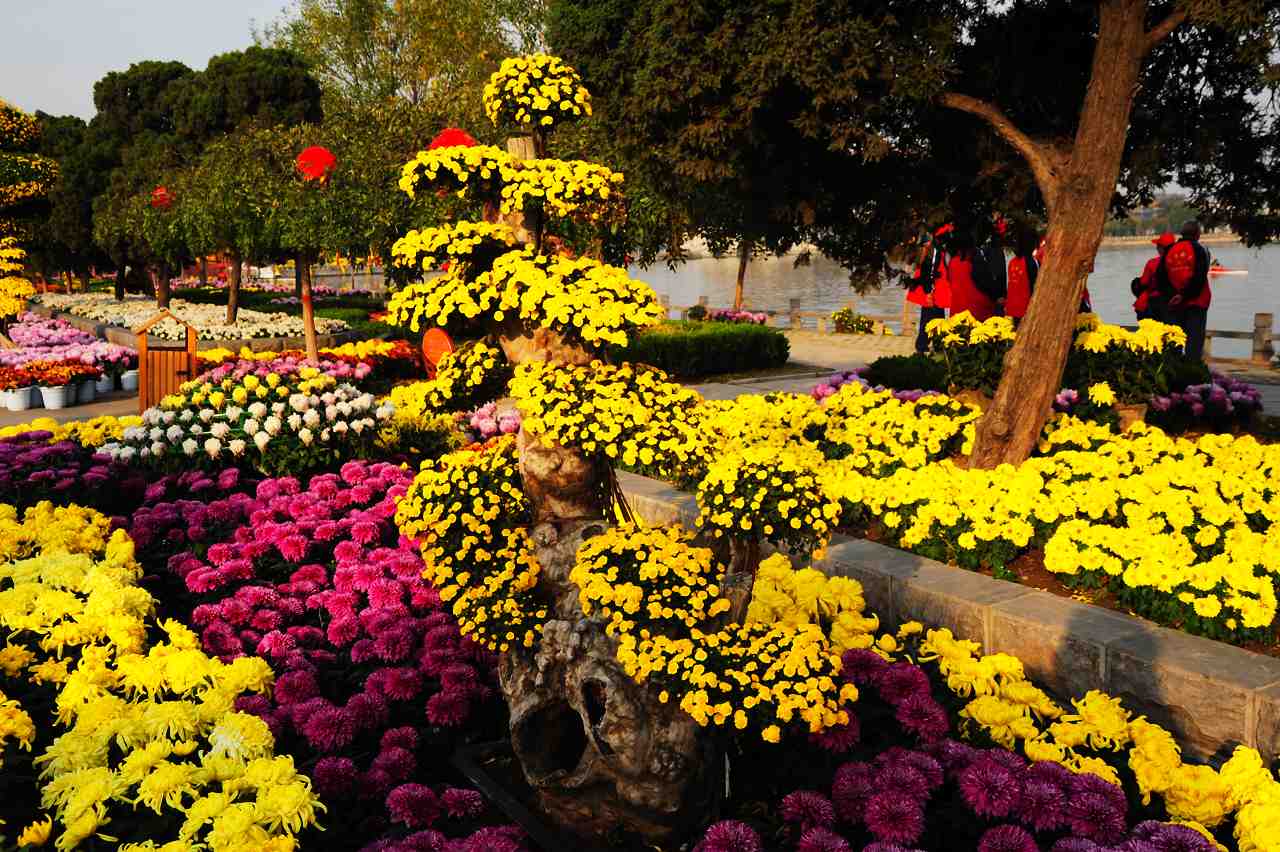 �T���_����Ѿ�· �˵�����