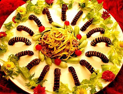 金秋賞菊開封城 2013開封菊展攻略