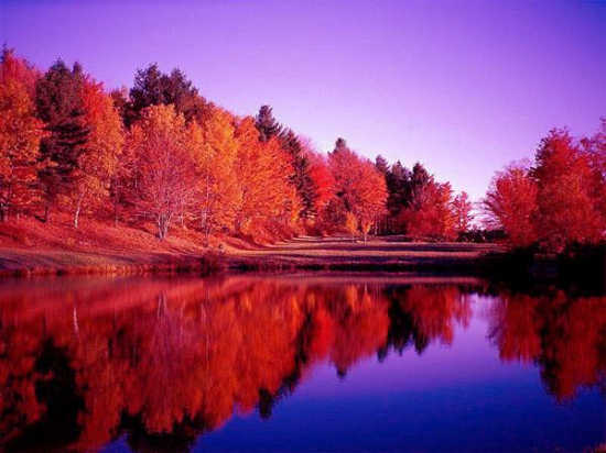 ʡ��(n��i)������{�p�t�~��ȥ�ٵ�