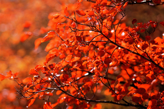 ʡ��(n��i)������{�p�t�~��ȥ�ٵ�