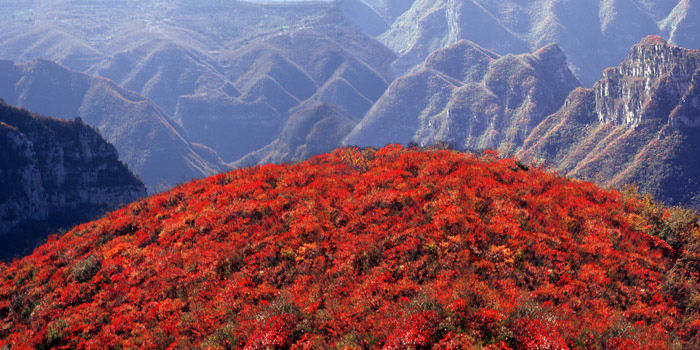 �tɫ�ĺ��� �t���Ї�&mdash;&mdash;�����