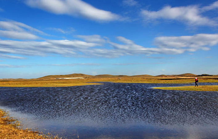 �Α{���L(f��ng)�����Α{���ꝲ���w�P(y��ng)�������ǻ�һ���˼�w��