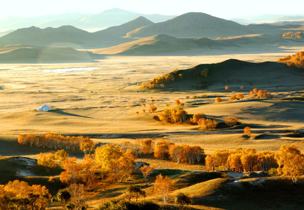 ��ɫ������ �𺳵�����