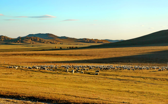 ��ɫ������ �𺳵�����