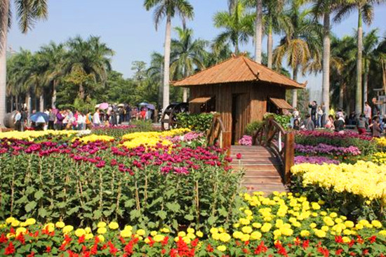 �ڶ����Ї��ջ��廨ˇ�g(sh��)չ�����ں��@�e��