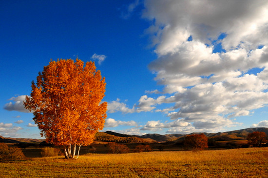 ����ʮ�� ��(gu��)��(n��i)�������ε����]