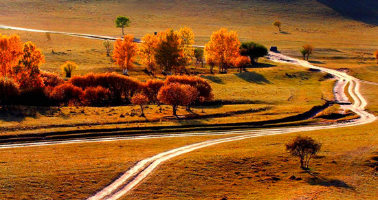 ����ʮ�� ��(gu��)��(n��i)�������ε����]