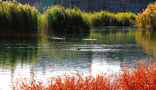 �p������(d��ng)�� &ldquo;��&rdquo;��������ɫ