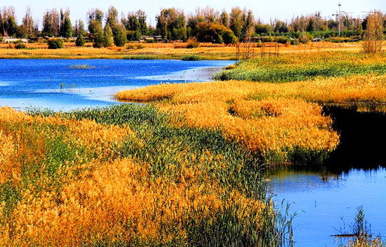 �p������(d��ng)�� &ldquo;��&rdquo;��������ɫ