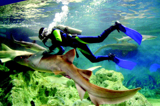 �ְ�ȥ�ă�  ʡ��(n��i)�H�����ε����]