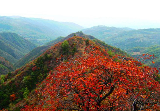 ʡ��(n��i)���{�p�t�~ ����ȥ���]��