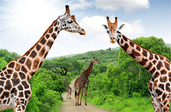 ȫ��ʮ��(g��)��ֵ��ȥ�ć�(gu��)�ҹ��@