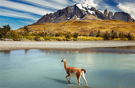 ȫ��ʮ����ֵ��ȥ�ć��ҹ��@