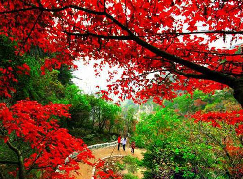 �����t�~�� �����t�~��