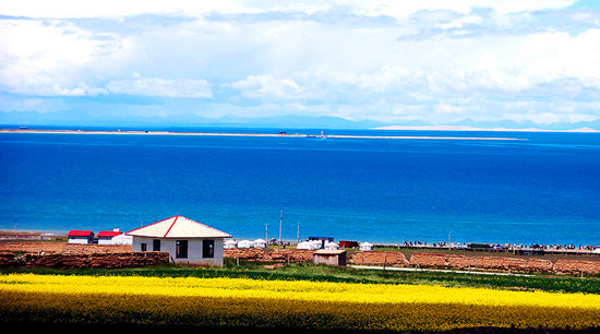 �α��߳����T �����Ї����˺���