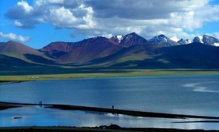 �����d��