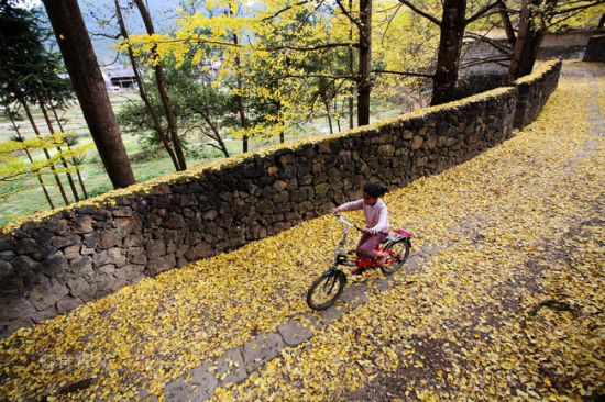 11�²��ò�ȥ�ć���(n��i)���T���ε�