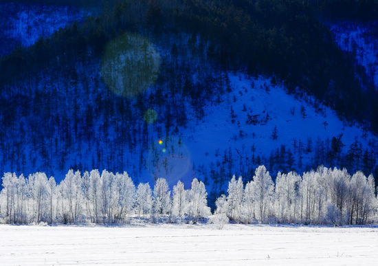 11�²��ò�ȥ�ć�(gu��)��(n��i)���T���ε�