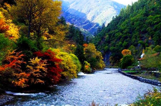 ���˴����{�ٵ� �p���՗���ʢ�� 