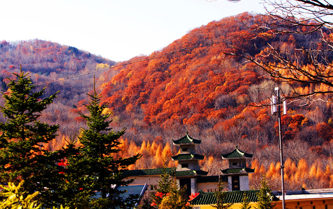 ���˴����{�ٵ� �p���՗���ʢ�� 