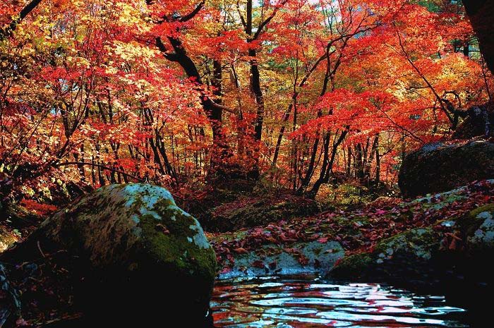 ���˴����{�ٵ� �p���՗���ʢ�� 