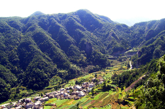 ���˴����{�ٵ� �p���՗���ʢ�� 