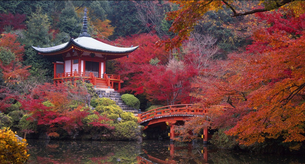 ץס�����β�� �������һĨ��ɫ