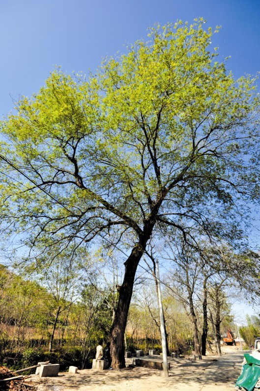 ��ꖺ��ã�һĨ������Ї���