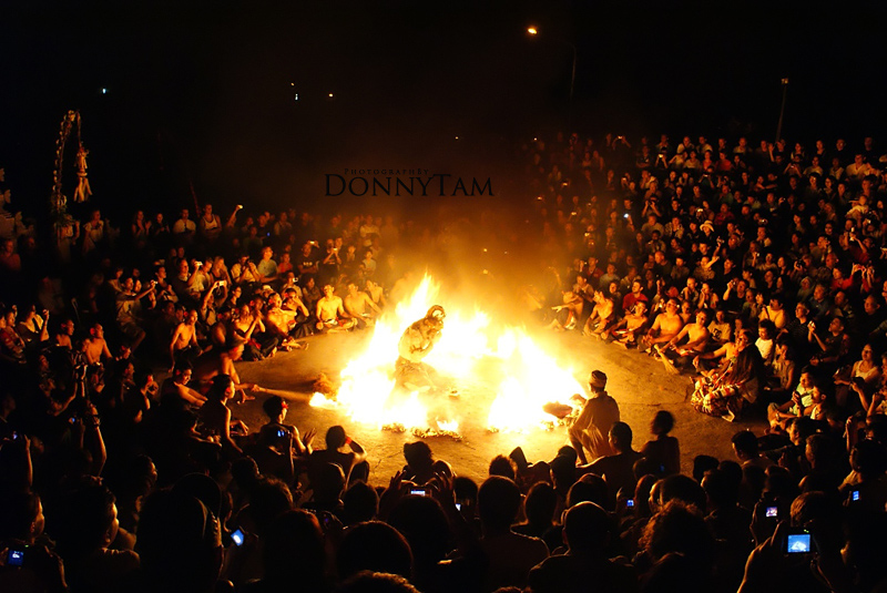 ����ϯ������������ӡ��