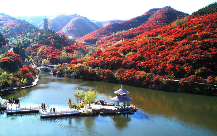 �Ї�ʮ������Ҹ��г��О����ҕ�