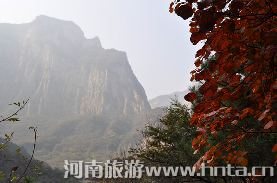 &ldquo;��ԭ�����꿨ֱͨ܇&rdquo;����������ԭ��һ��&mdash;&mdash;�P(gu��n)ɽ��(gu��)�ҵ��|(zh��)���@ 