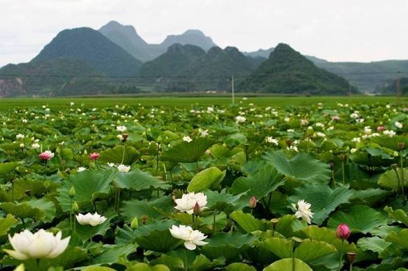 ���ְ�ȥ�ă����Ĕz��������ɽ���ߺ�