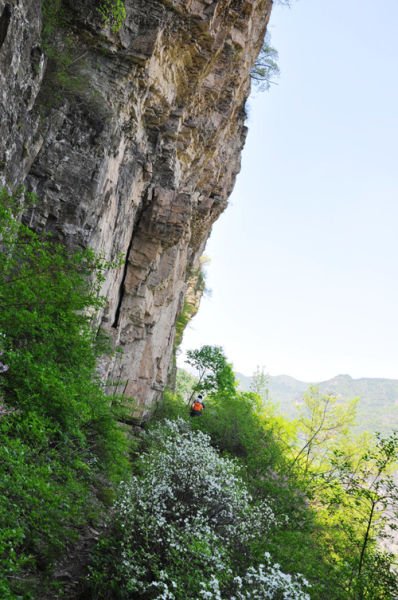 �P�c��������Ó��� �D(zhu��n)��������