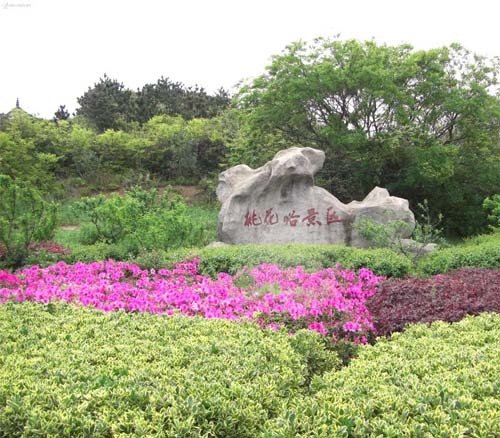 �P(p��n)�c(di��n)��������Ó��� �D(zhu��n)��������(��i)