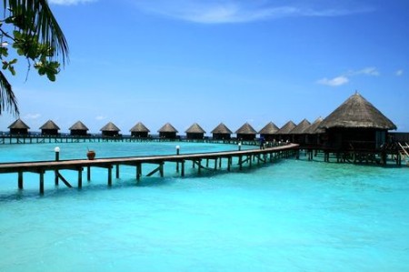 �ӱܶ��յĺ��� �w�(y��n)�⺞���u�Ğ�Ó