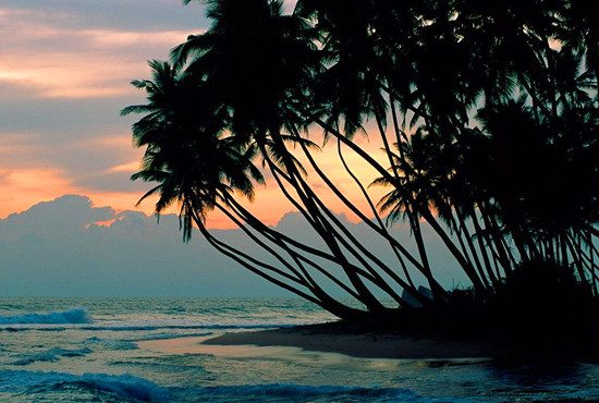 �ӱܶ��յĺ��� �w�(y��n)�⺞���u�Ğ�Ó